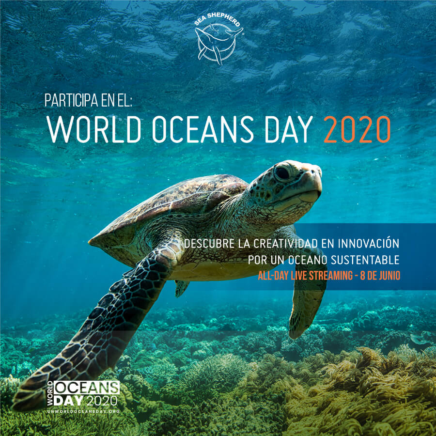 World Oceans Day 2020 - 01