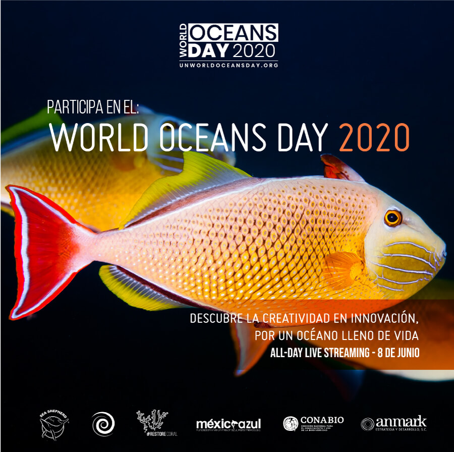 World Oceans Day - 03